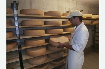 Hofkäserei Hingerer © Tourismusverband MondSeeLand Hofkäserei Hingerer © Tourismusverband MondSeeLand